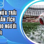 Kèo chấp nửa trái DR88