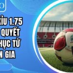 Kèo tài xỉu 1.75 DR88