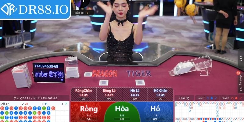 Sảnh Play Ace DR88 – Điểm Đến Cho Fan Game Trực Tuyến 2 Rồng hổ trò chơi tốc độ và hấp dẫn